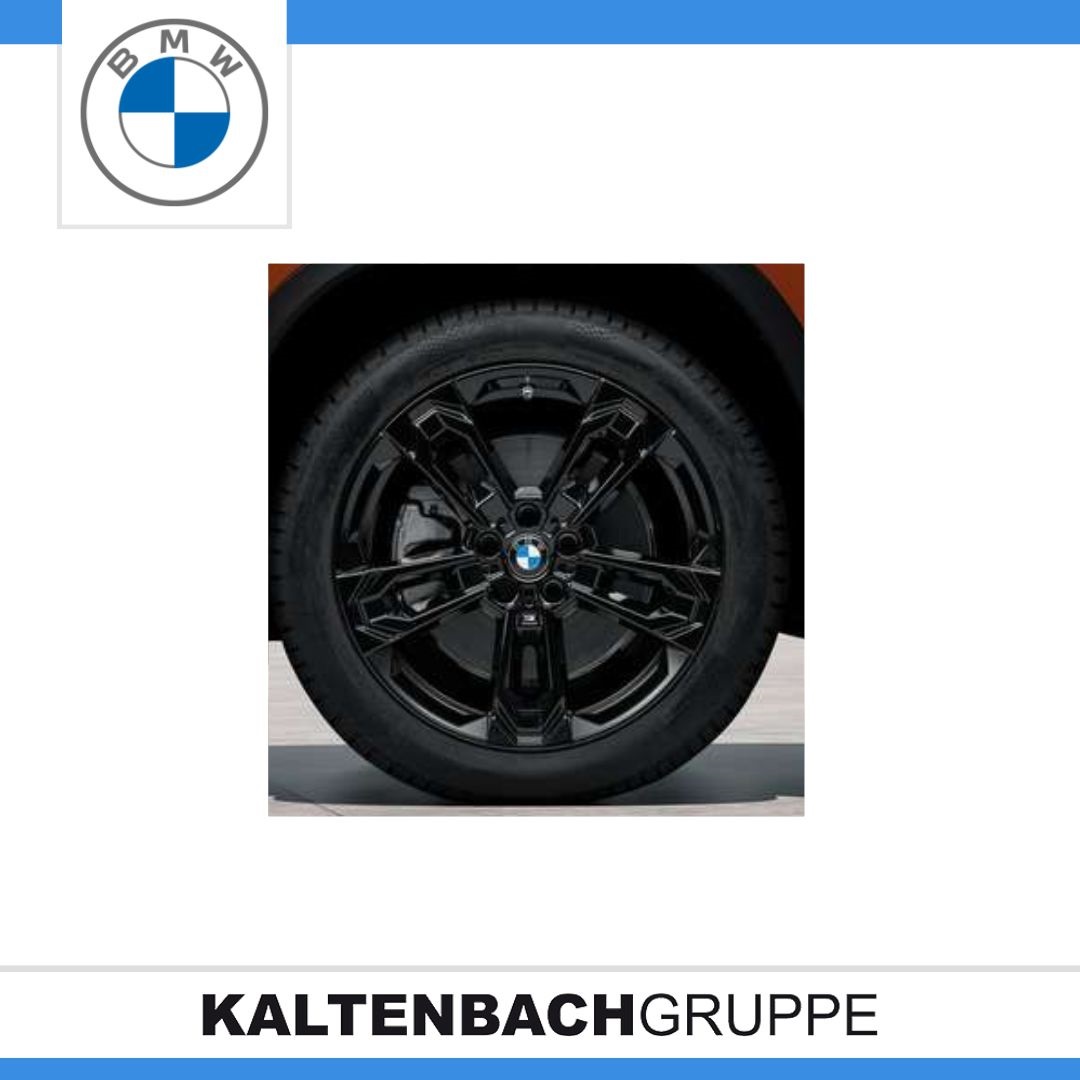M Doppelspeiche 871M.jpg
